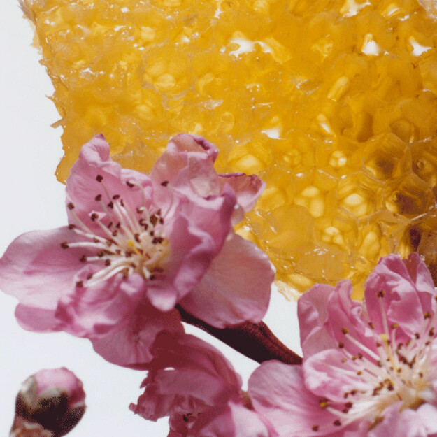 candela profumata al miele e ai fiori di nettarina