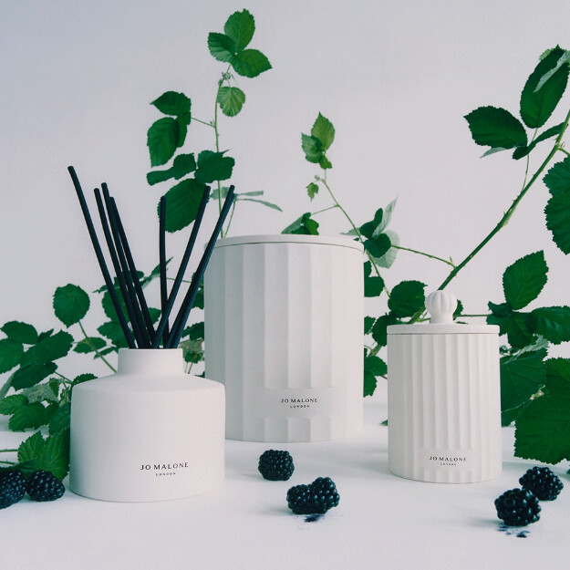 candela townhouse con bacche selvatiche e rovi