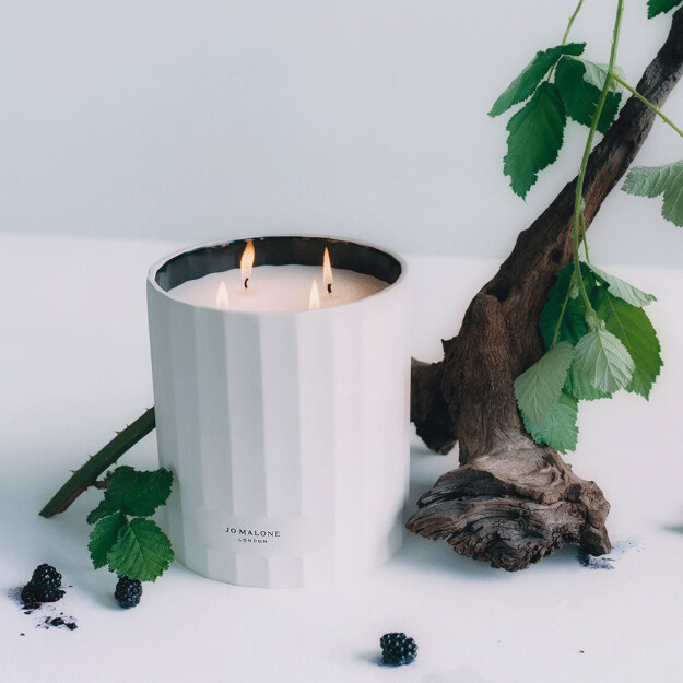 candela townhouse con bacche selvatiche e rovi
