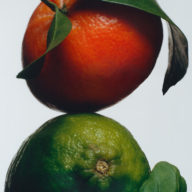 crema corpo al lime basilico e mandarino