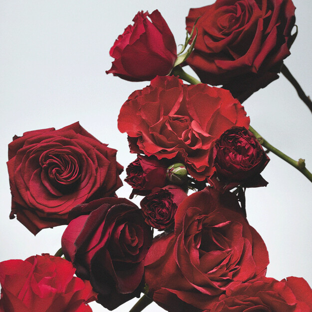sapone alle rose rosse